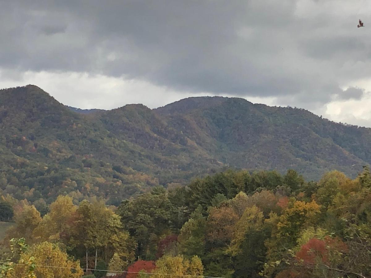 فيلا Twin Oaks مدينة كليرمونت المظهر الخارجي الصورة